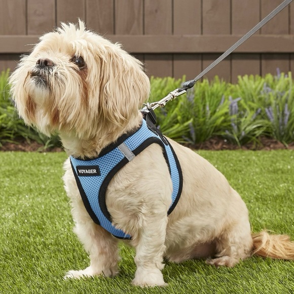 Voyager Black Trim Mesh Dog Harness - Size S - Picture 8 of 16